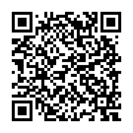 QR code for N38795