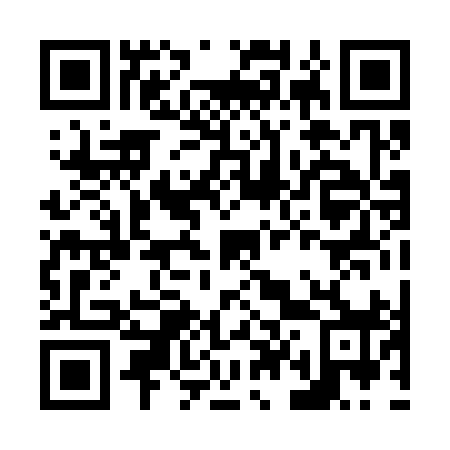 QR code for N40398