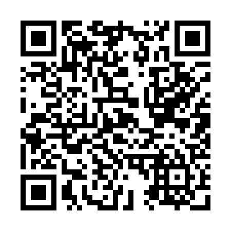 QR code for N41125