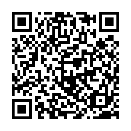 QR code for N41533