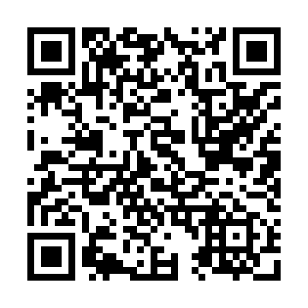 QR code for N41859