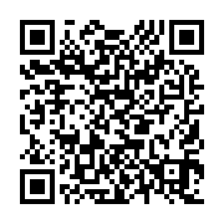 QR code for N41911