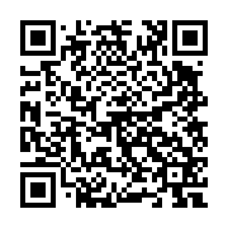 QR code for N42462