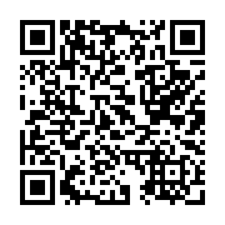 QR code for N42498