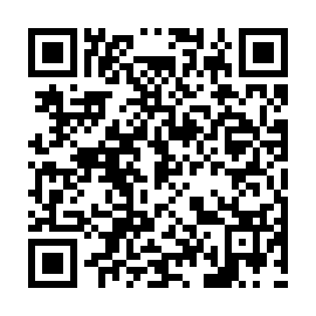 QR code for N45233