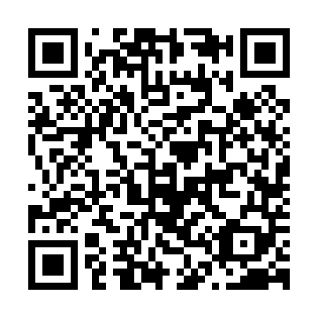 QR code for N46049