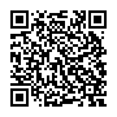 QR code for N46203