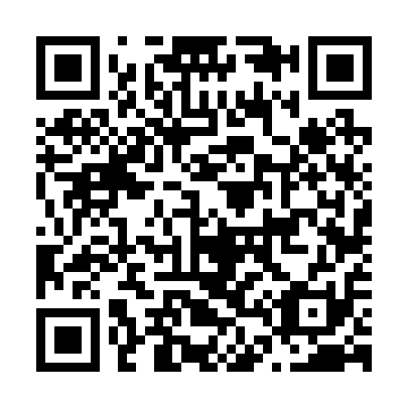 QR code for N46211