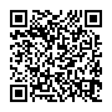 QR code for N46281