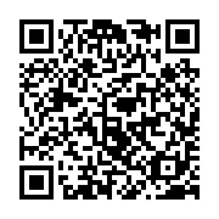 QR code for N46291