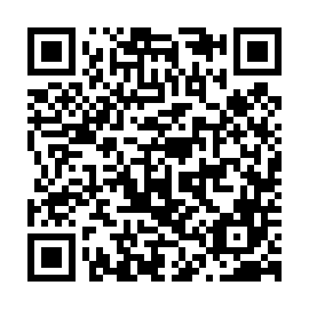 QR code for N46446
