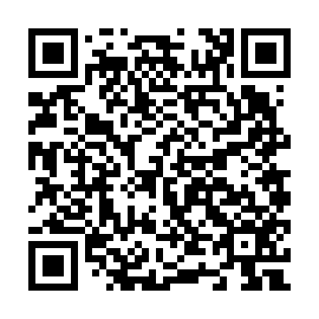 QR code for N46656