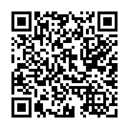 QR code for N47391