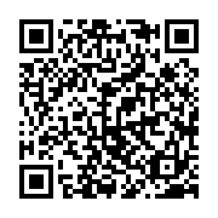 QR code for N48133
