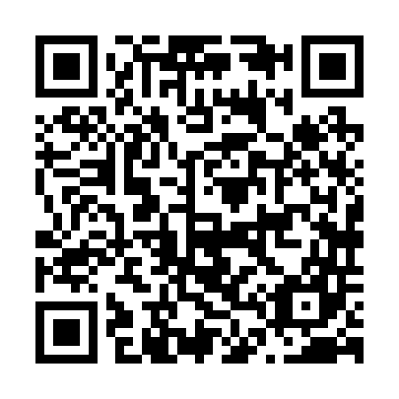 QR code for N48247