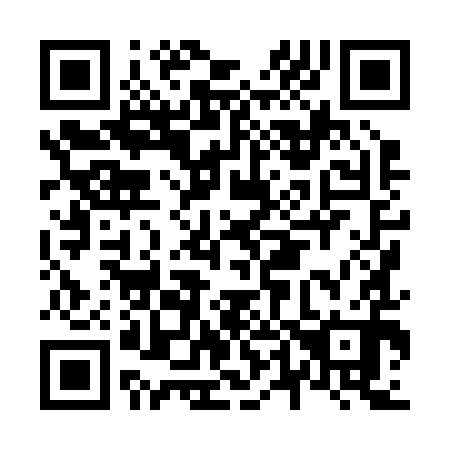 QR code for N48290