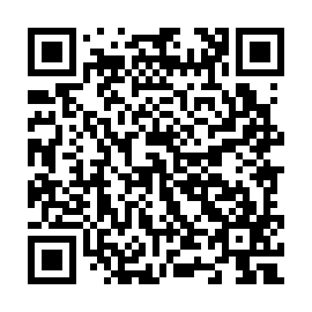 QR code for N48397