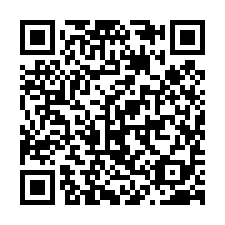QR code for N49499
