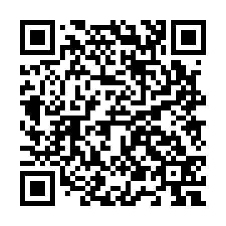 QR code for N50133