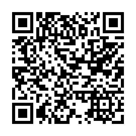 QR code for N50667