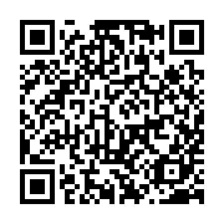 QR code for N51380