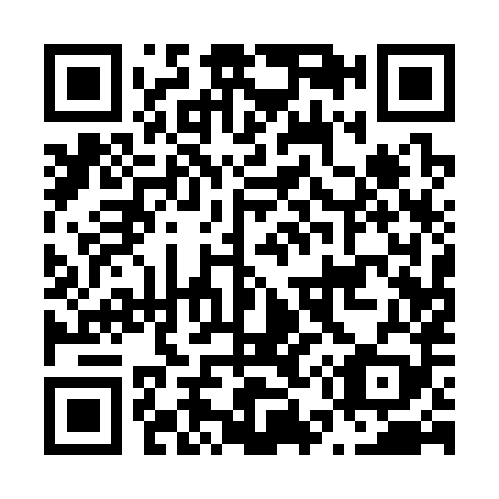 QR code for N51389