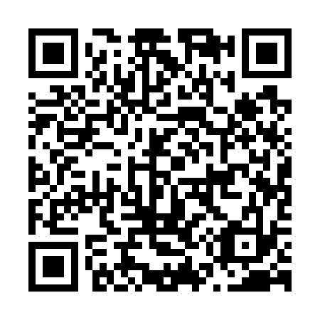 QR code for N51733