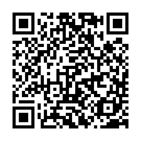 QR code for N52541