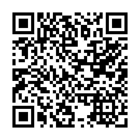 QR code for N53287