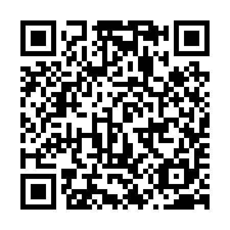 QR code for N53295
