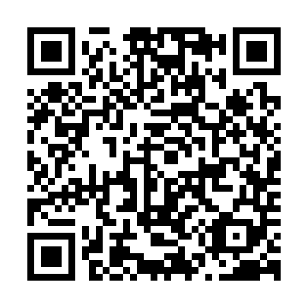 QR code for N53349
