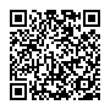 QR code for N53411