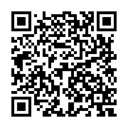 QR code for N53925