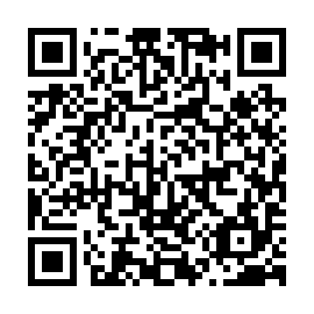 QR code for N55294