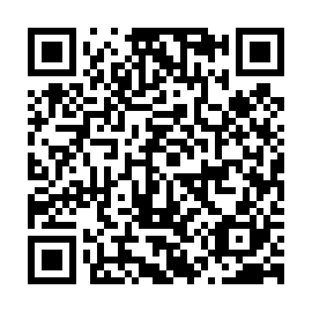 QR code for N55420