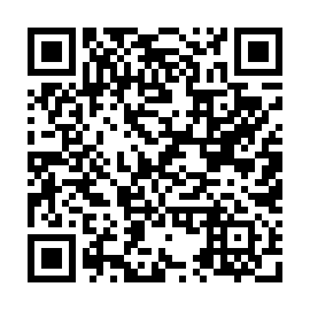 QR code for N55491