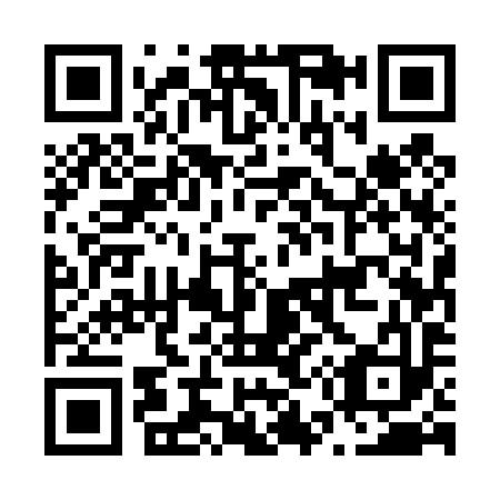 QR code for N55493