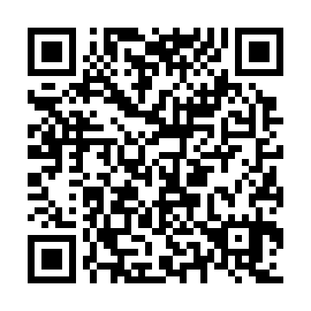 QR code for N56335