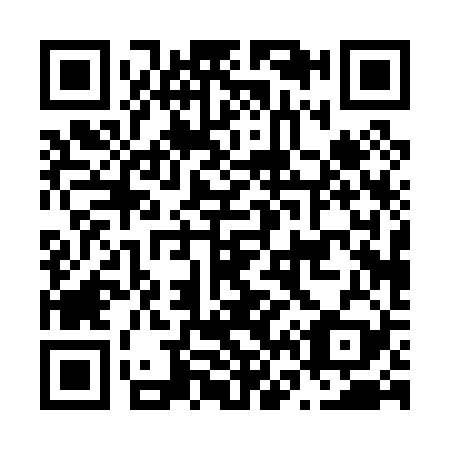 QR code for N60029