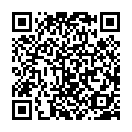 QR code for N60038