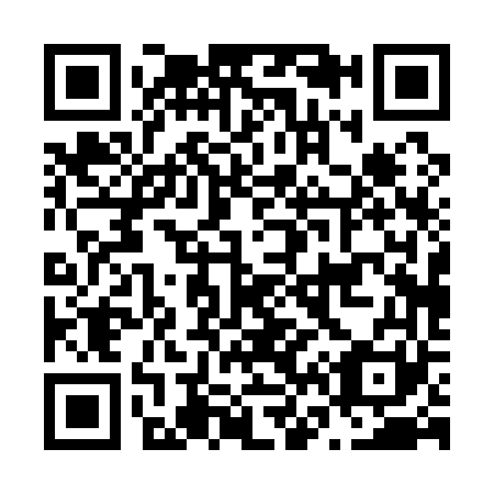 QR code for N60161
