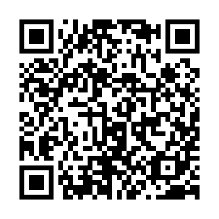 QR code for N61181
