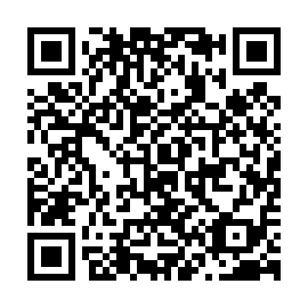QR code for N61419