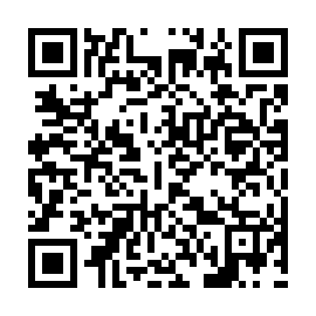 QR code for N61747