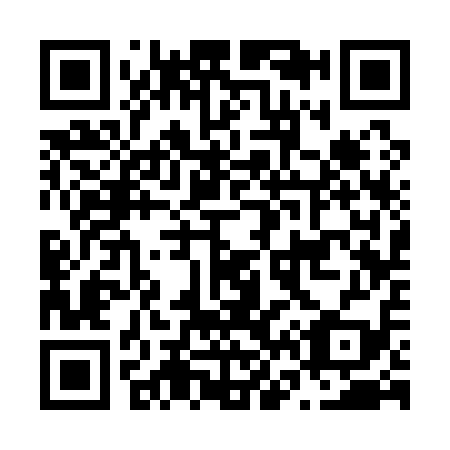 QR code for N63119