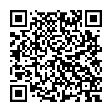 QR code for N63126