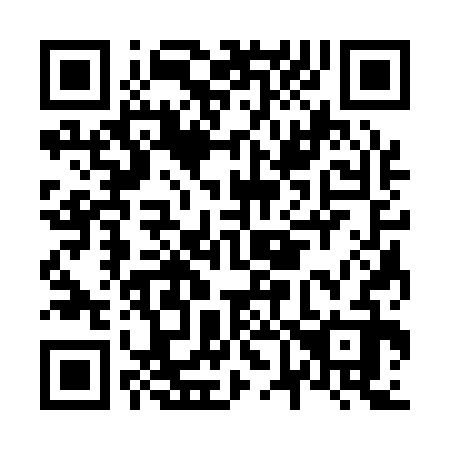 QR code for N63132