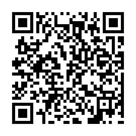 QR code for N63177