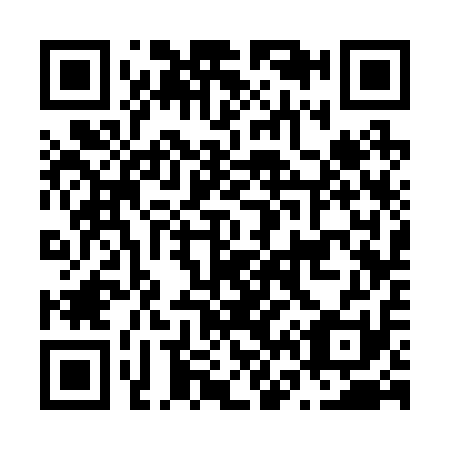 QR code for N63211