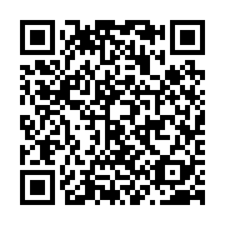 QR code for N63229